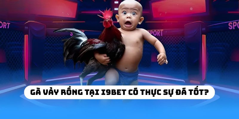 Gà vảy rồng tại I9BET có thực sự đá tốt?