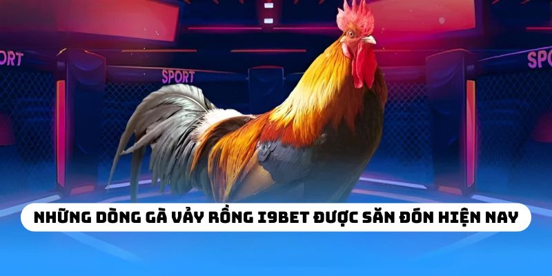 Những dòng gà vảy rồng I9BET được săn đón hiện nay